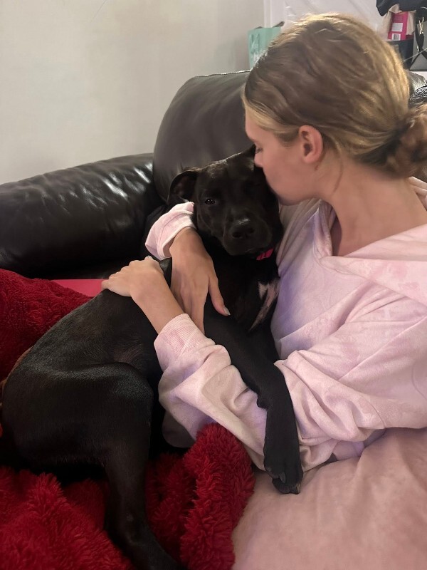 View Noodle the Dog Photo #8