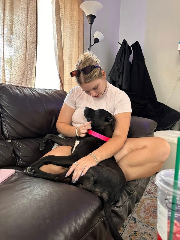 View Noodle the Dog Photo #11