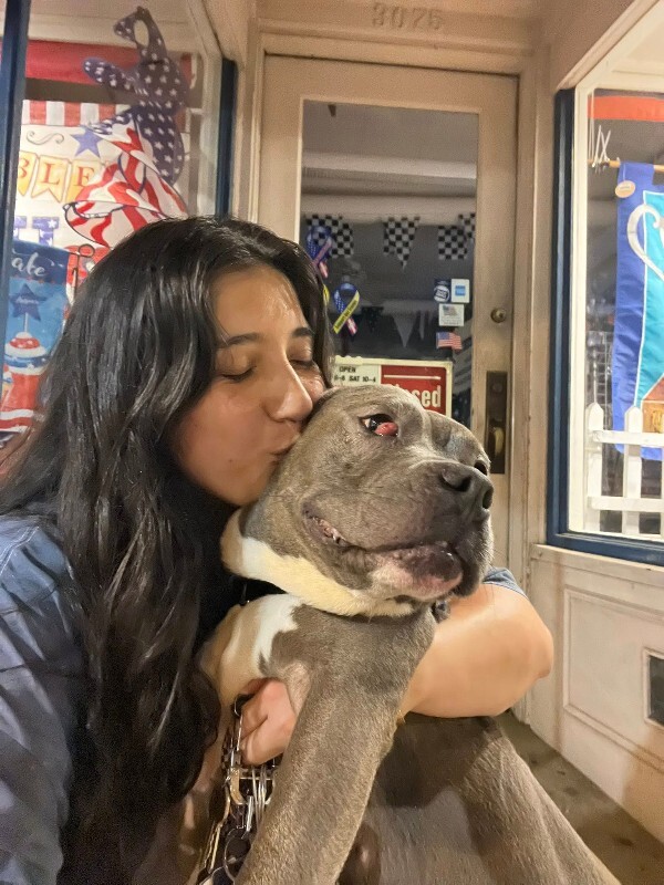 View Cayda Bug the Dog Photo #2