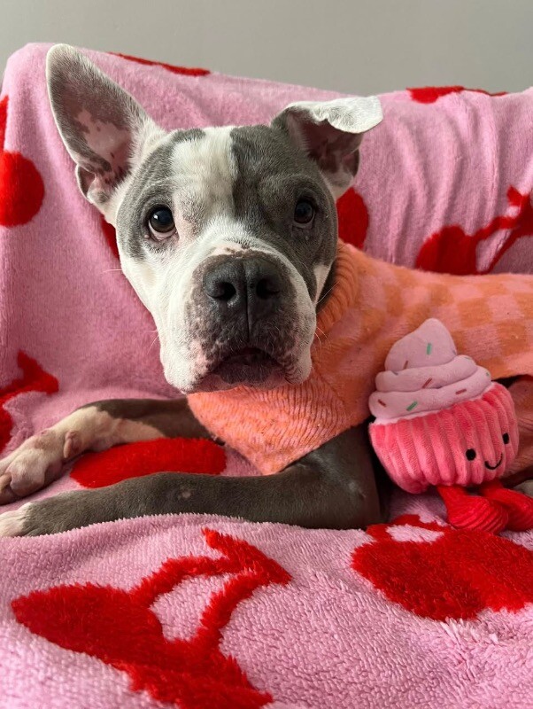 624590883 26473552142246911 3767716808341876161 n