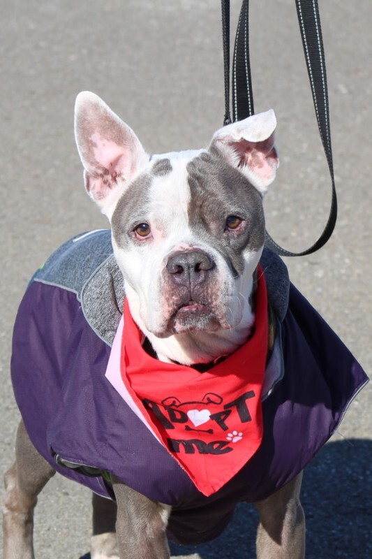 IMG 20260202 094609 2