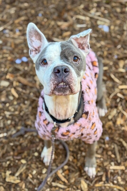 Learn More About Promise IMG 2854