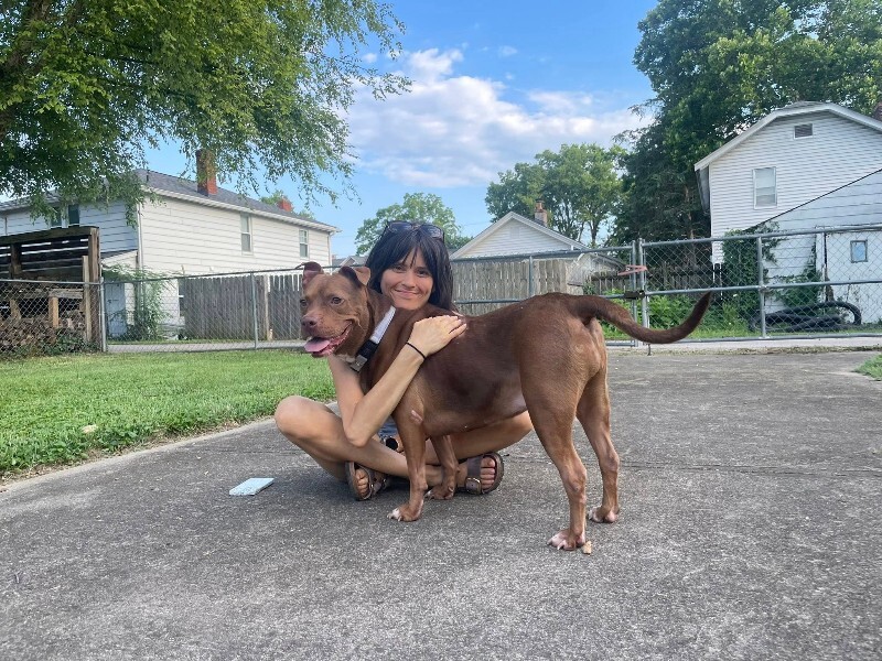 View Fawn the Dog Photo #5