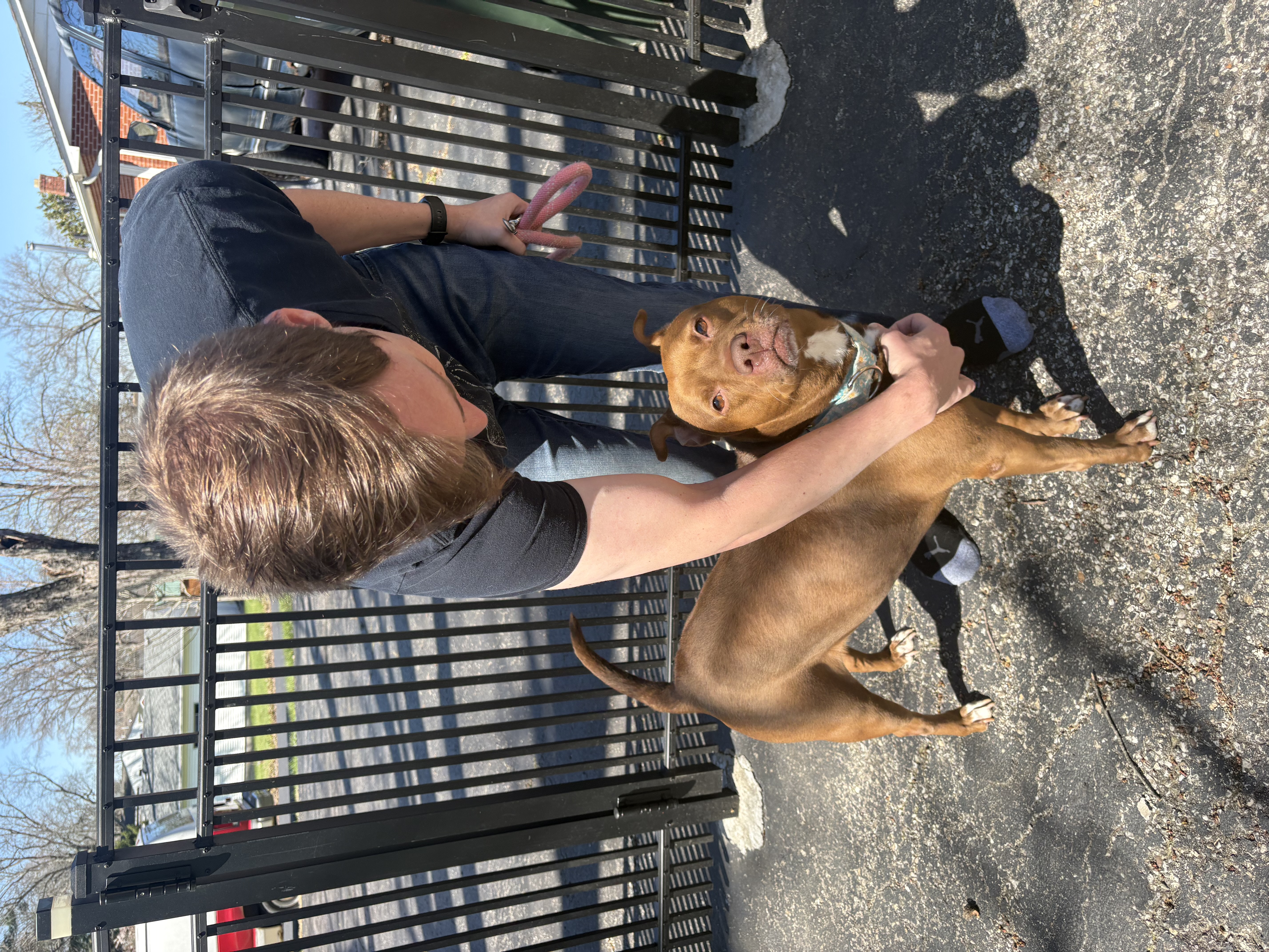 View Fawn the Dog Photo #10