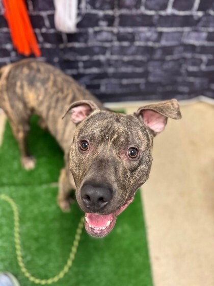 6d3b097f 1816 42e2 9a12 742e6a7d4f59