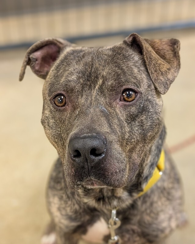 PXL 20260201 180014180.PORTRAIT~2 2