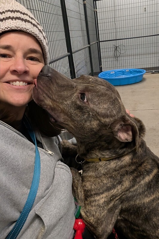 View Arcade the Dog Photo #2