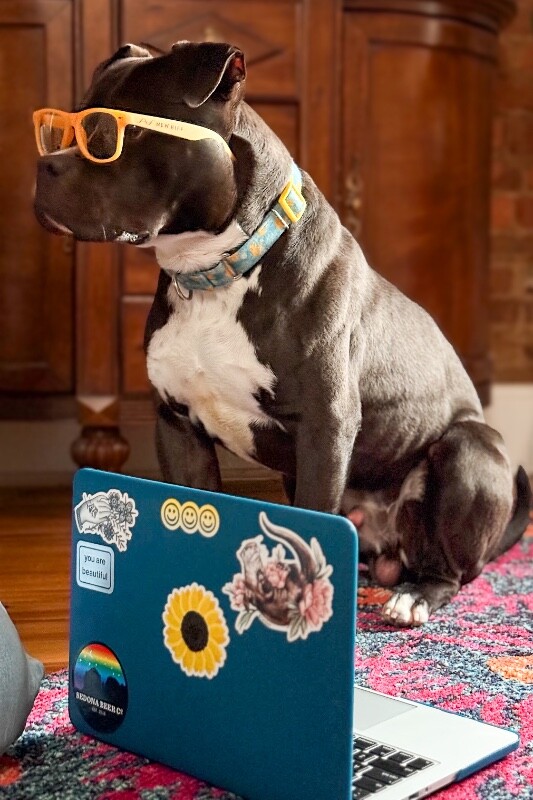 View Elliot Page the Dog Photo #11