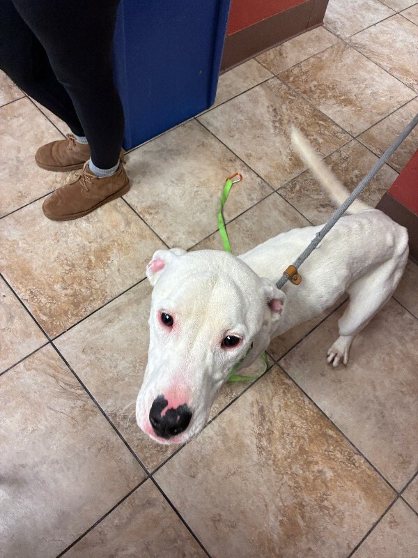 Learn More About Max Moore IMG 1148