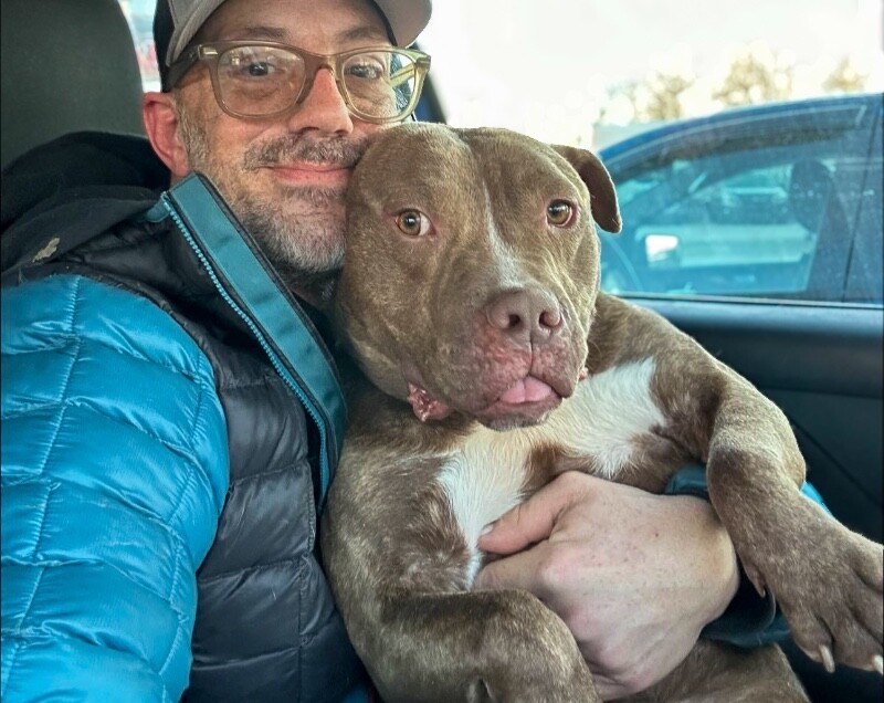 View Clee the Dog Photo #3