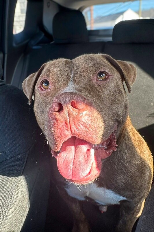 Learn More About Clee 618007981 10162304298303639 9146133904205355137 n