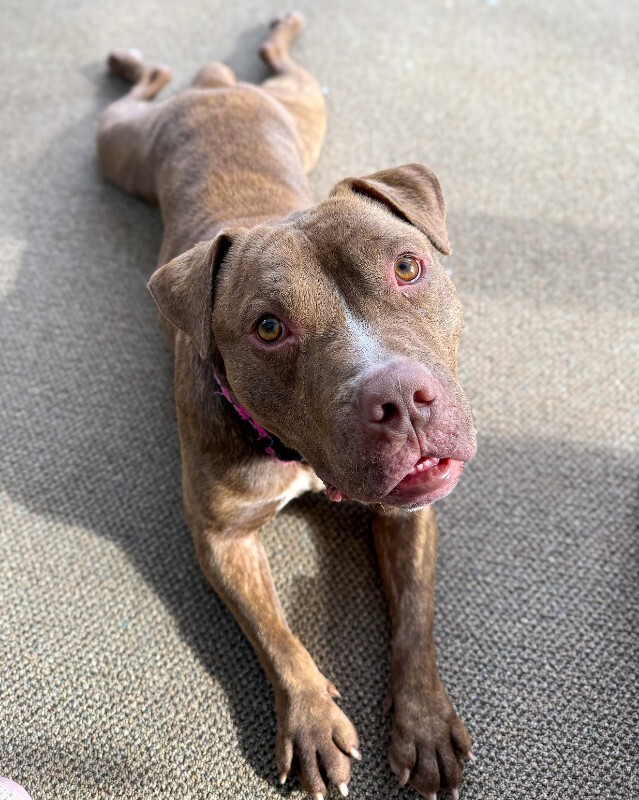 626822559 1243211797903889 5015309949476389529 n