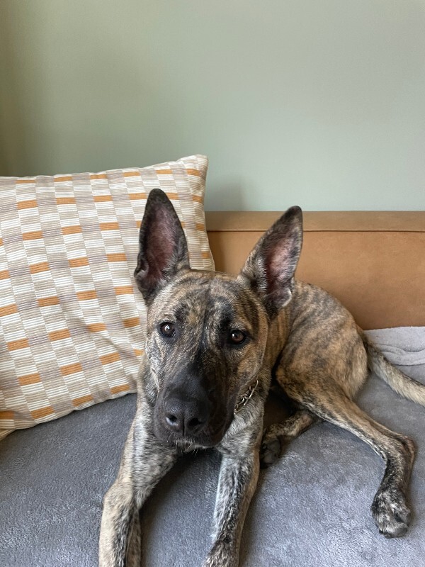 570099883 122219192192100117 5782201978223873750 n (1)