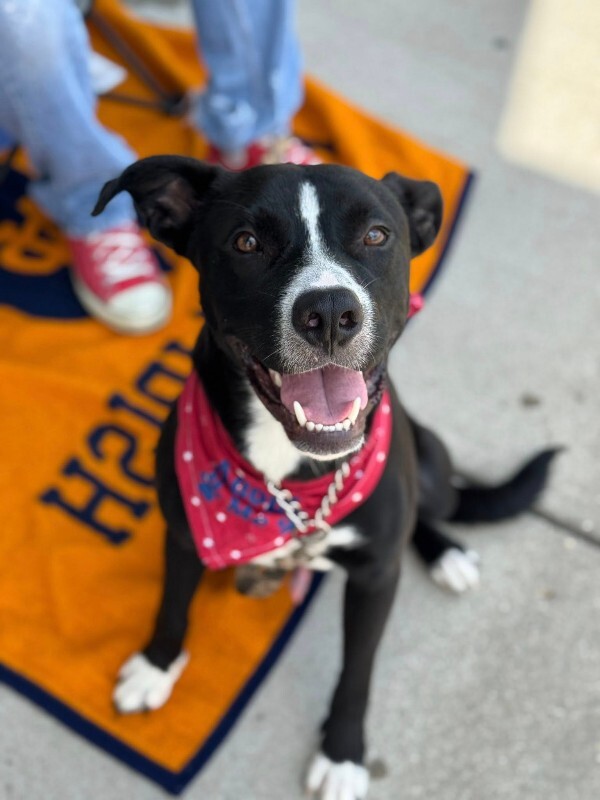 524921134 2293523451076483 7054155635377560045 n (1)