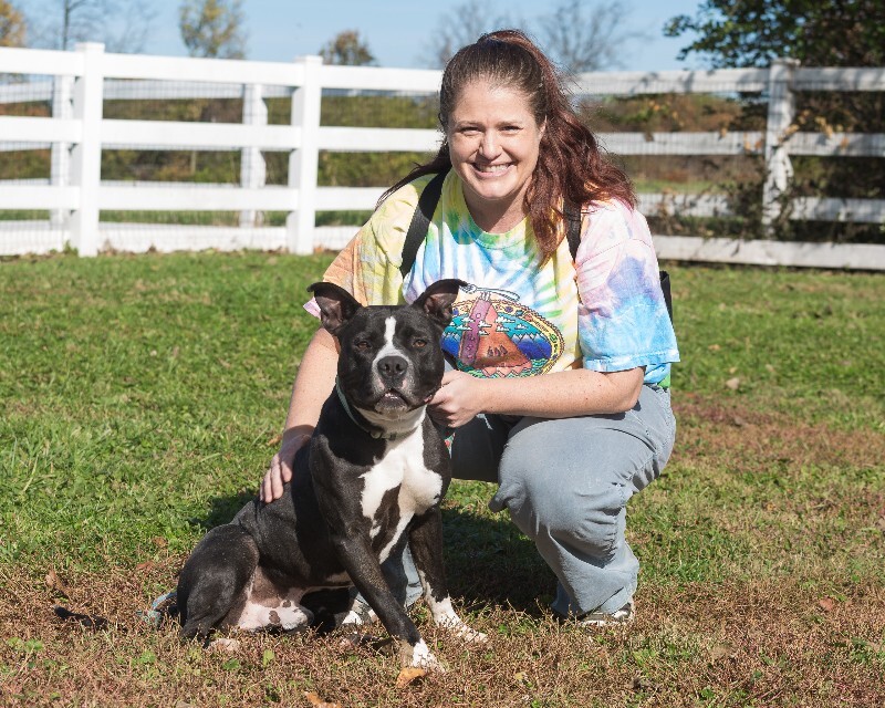 View Found Dog Photo #9