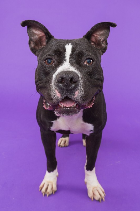 Bier Haus 0223 X4 (1)