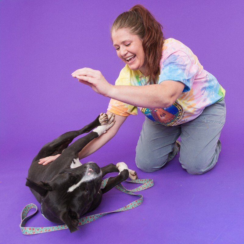 View Found Dog Photo #7