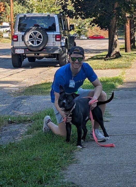 View Aquaman the Dog Photo #7