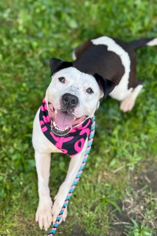 Learn More About Mood Ring 558642346 10108878453485323 7021345872263773225 n 3