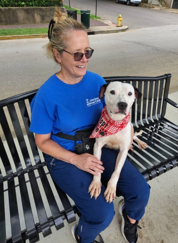 View Mood Ring the Dog Photo #4