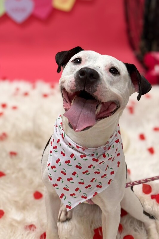 Learn More About Mood Ring 618791549 803454722747910 3399524878012170526 n