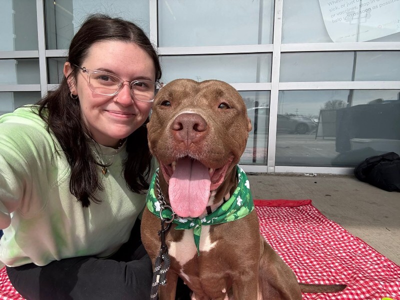 View Andromeda the Dog Photo #3