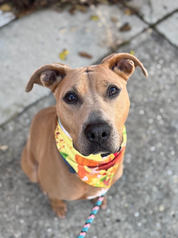 Learn More About Gurri IMG 4483