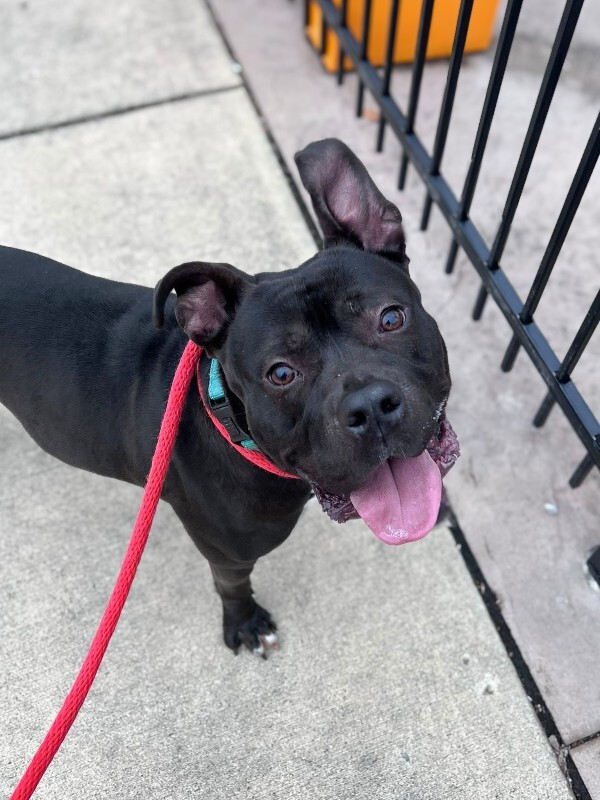 604772581 10215084818149536 5507794419403242408 n 2