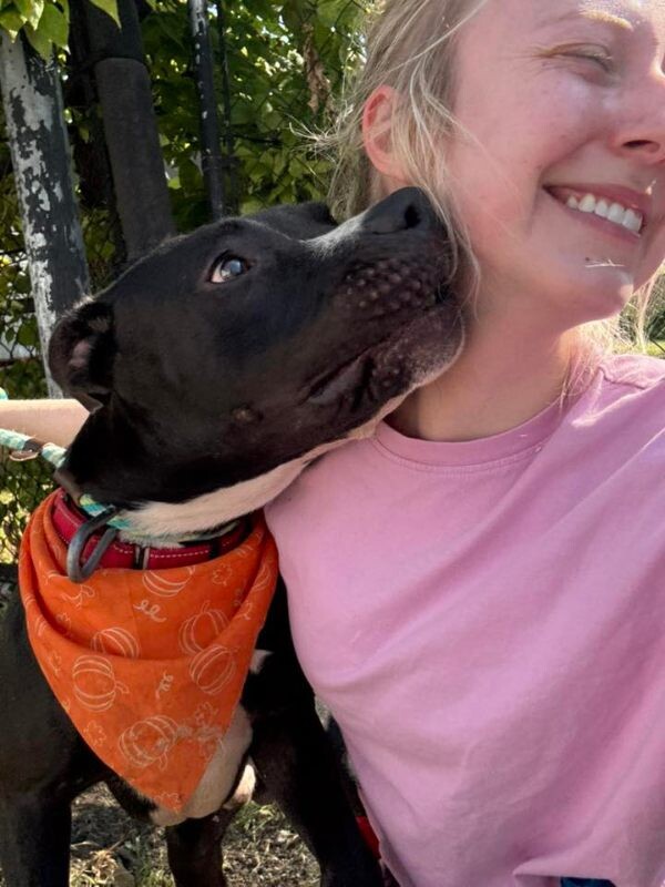 View Squire the Dog Photo #11