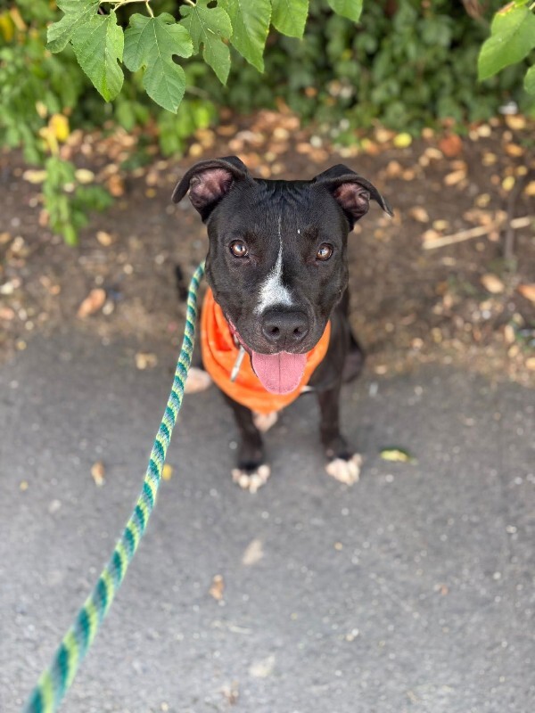 548966263 10234599906711690 8430491680071575246 n