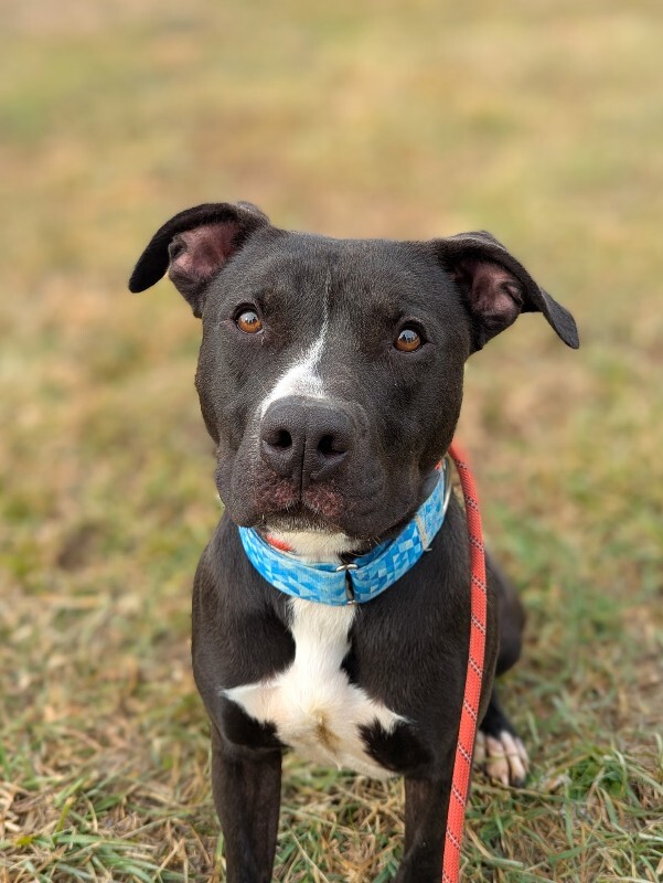 PXL 20260214 155936039.PORTRAIT 2