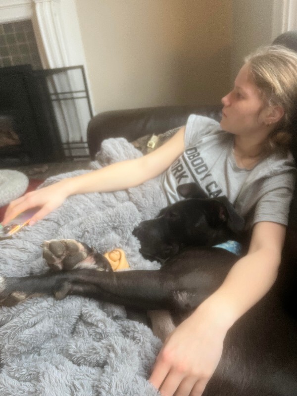 View Squire the Dog Photo #17