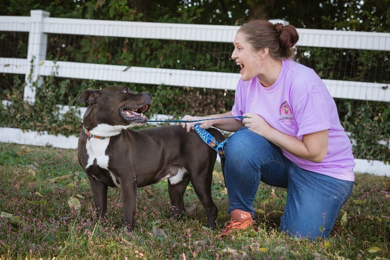 View Bobby the Dog Photo #16