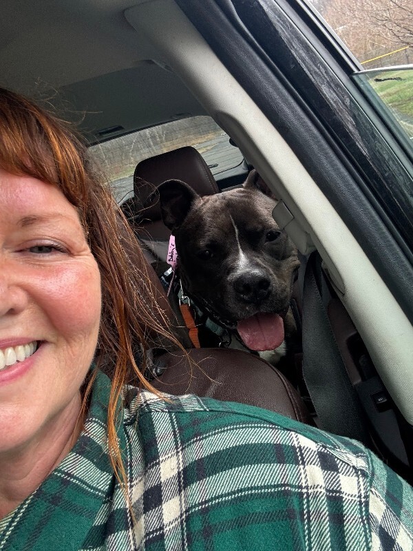 View Bobby the Dog Photo #12