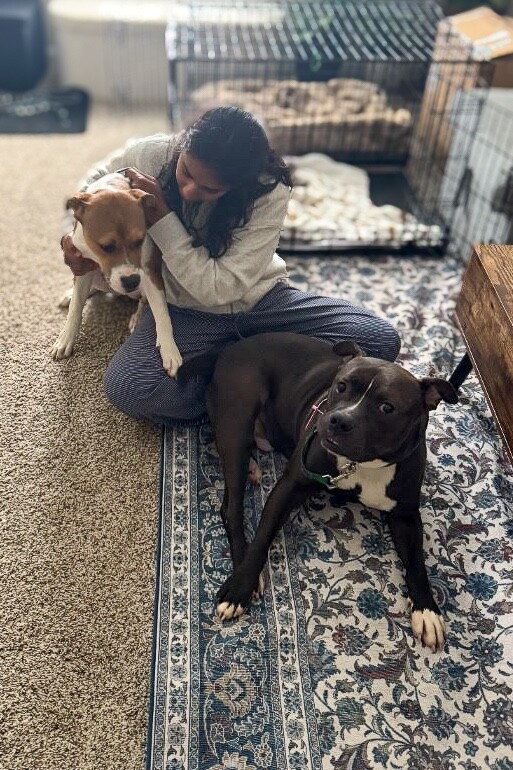 View Bobby the Dog Photo #5