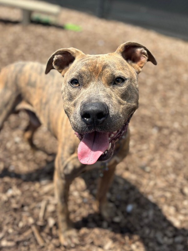 528251182 10236288662693445 919033608405928725 n