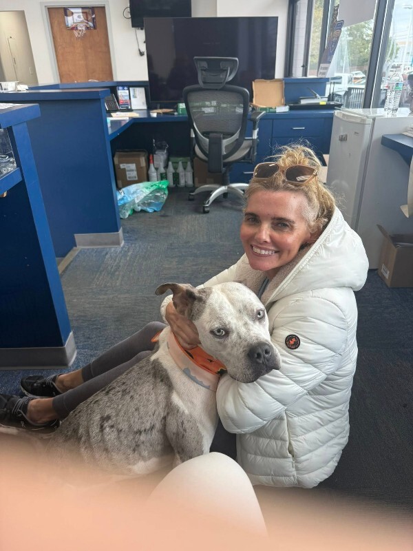 View Milkshake the Dog Photo #14