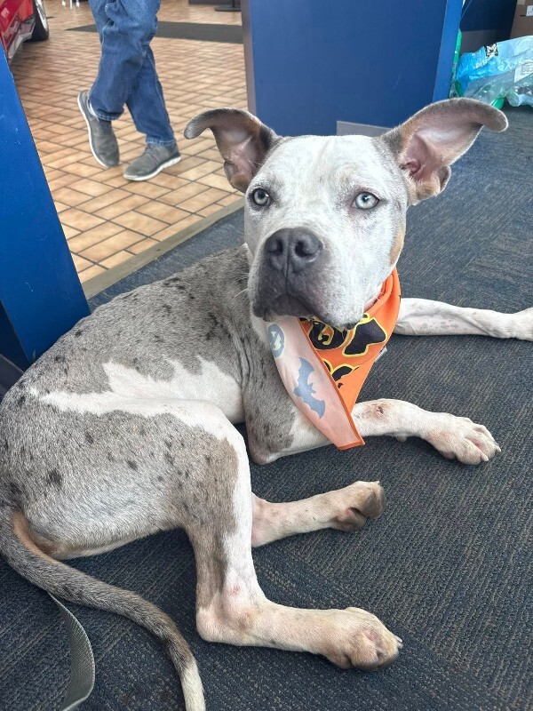 572559079 10230190002030557 6246280044385432046 n