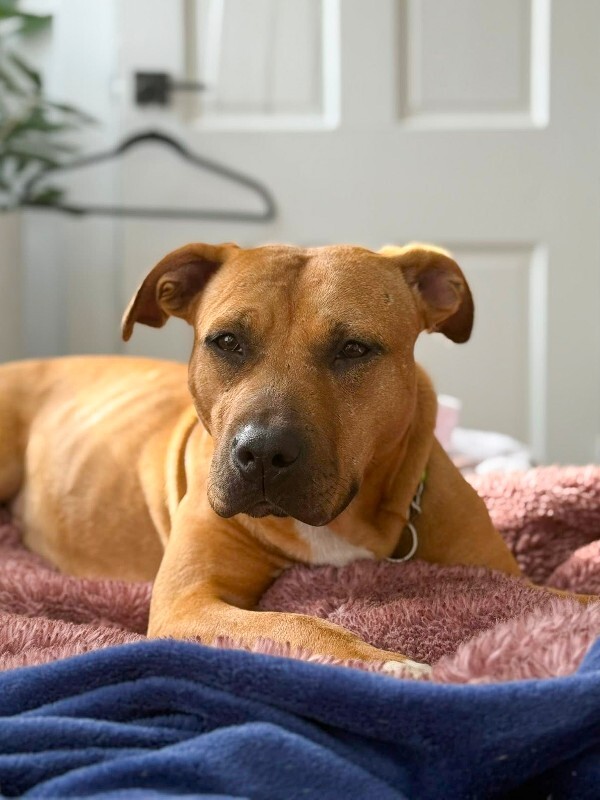 594963988 2695830010809245 5862199651864940942 n 2