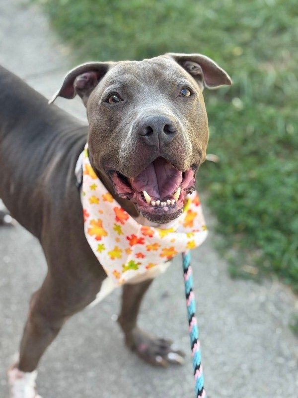 547123867 10108773749303343 3920913144311545296 n