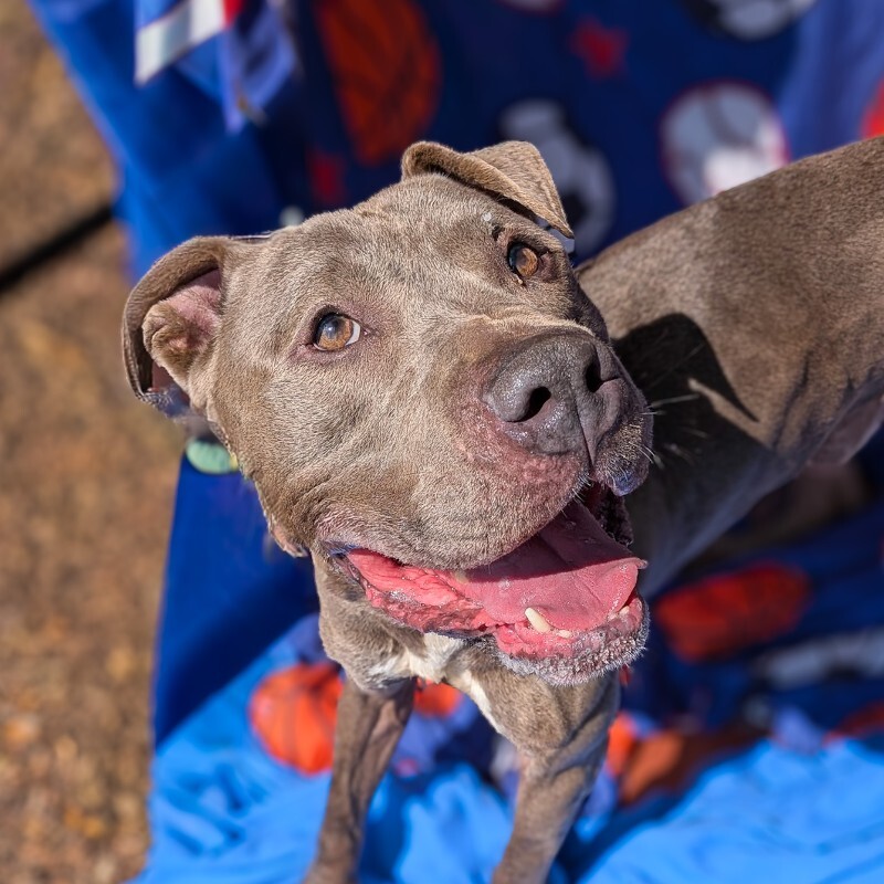 PXL 20250806 154732886 2