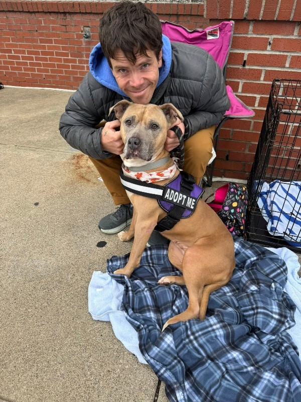 View Bess the Dog Photo #3