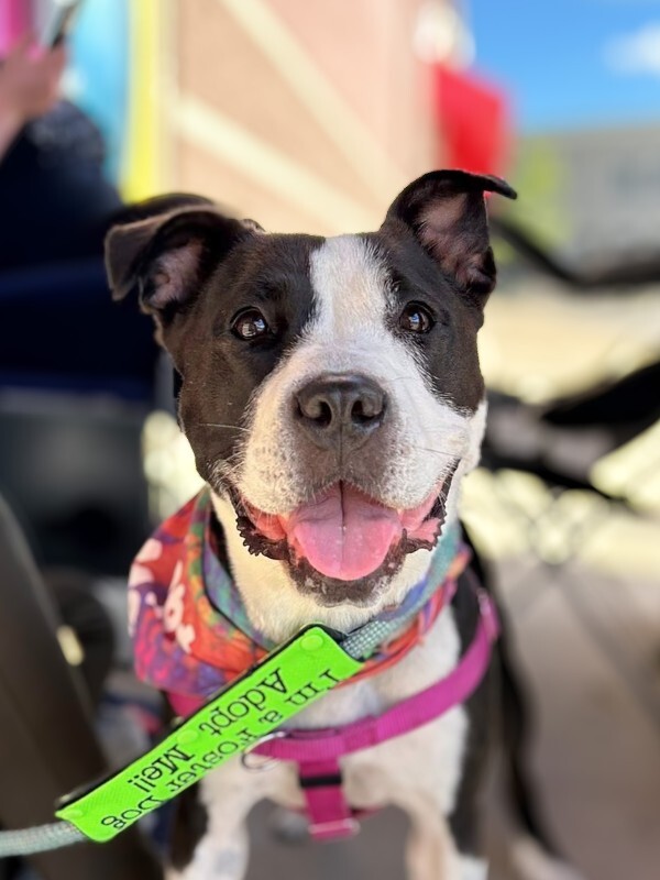 Learn More About Chev 558697171 3503270999820166 5779555165288668486 n 2