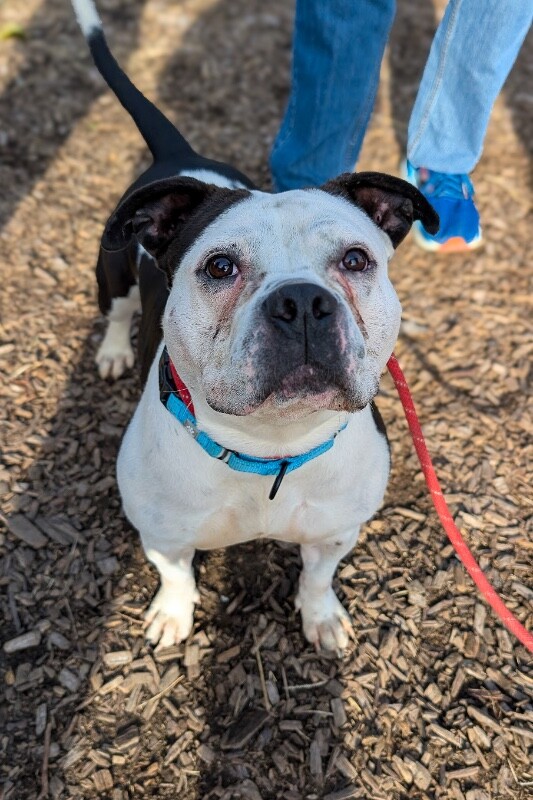 Learn More About Swirl PXL 20260122 150710511