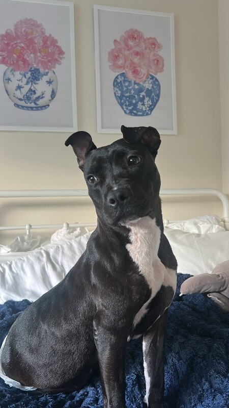 574541555 1510429806775762 5883850654095478133 n