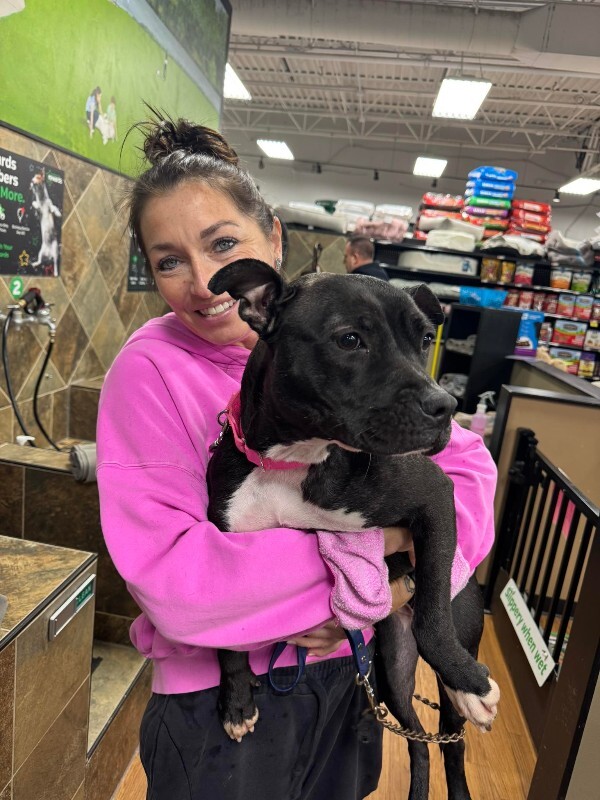 View Manu the Dog Photo #4