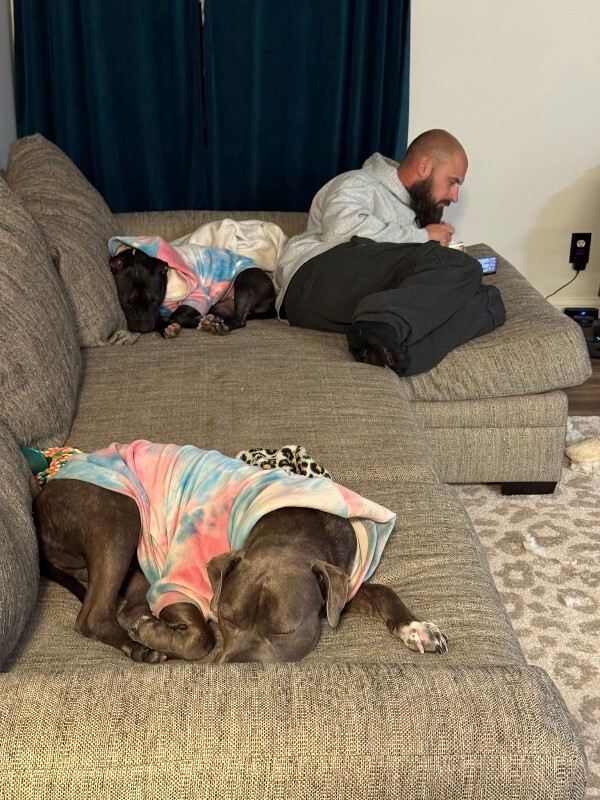 View Manu the Dog Photo #16