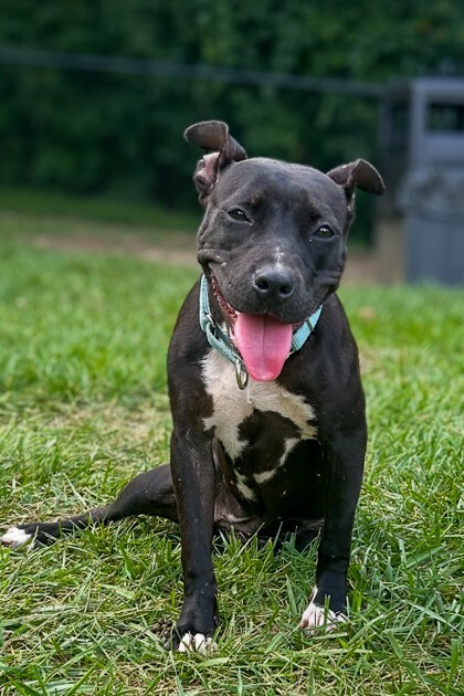 Learn More About Manu cb53097c 5e76 425b 9831 b5920a00d19b