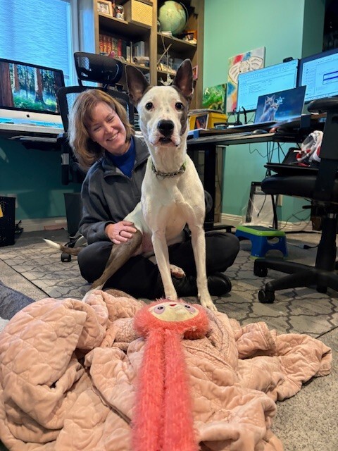 View Sulley the Dog Photo #6