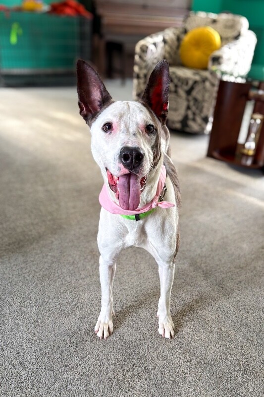 Learn More About Sulley IMG 1327